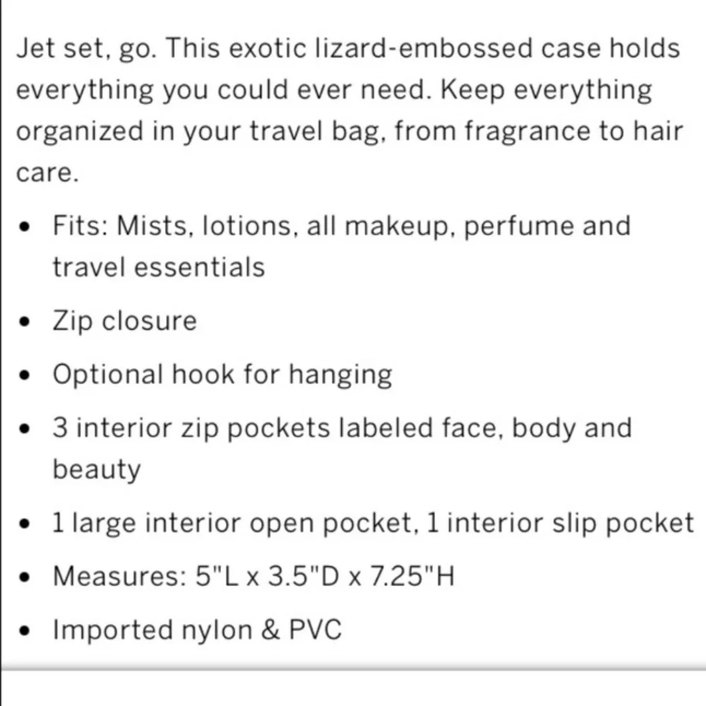 NWT VS Everything travel‎ case